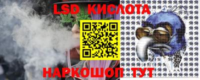 амф Донской