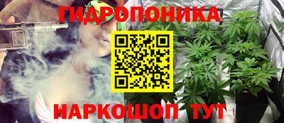 амф Донской