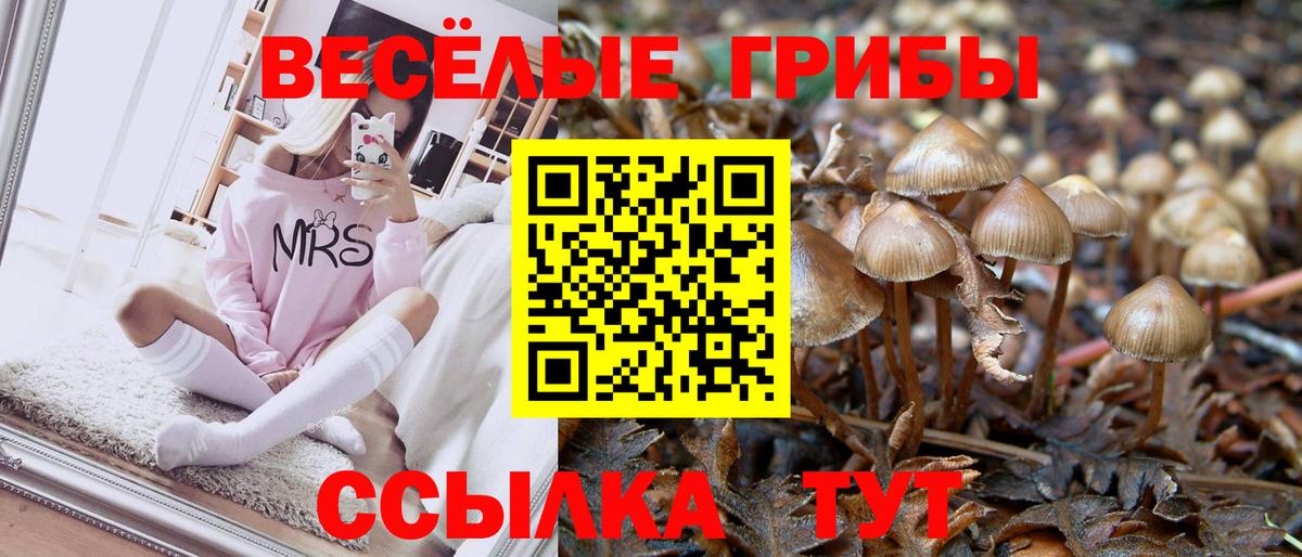 Галлюциногенные грибы Psilocybine cubensis  Вход с VPN  Мирный 